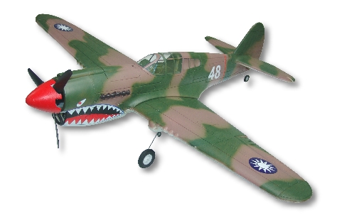 GWS P 40 1000mm Wing Span foams RC Warbird  